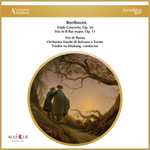 Album Beethoven: Triple Concerto, Op. 56 - Trio in B-flat Major, Op. 11 oleh Ludwig van Beethoven