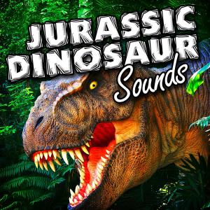 ดาวน์โหลดและฟังเพลง Echoing Dinosaur Jr Call พร้อมเนื้อเพลงจาก Captain Audio