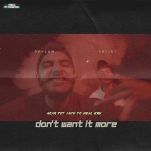 Album Don't Want It More from Addict