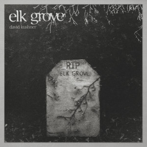 ดาวน์โหลดและฟังเพลง Elk Grove พร้อมเนื้อเพลงจาก David Kushner