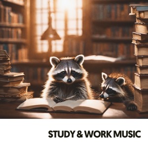 Work Music的專輯Study & Work Music: Melodies for the Soul