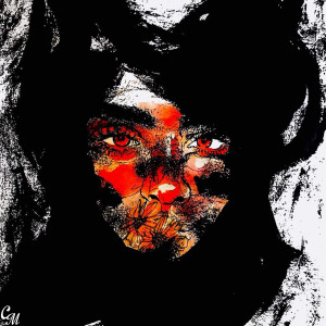 Album Stranger from 