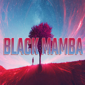 收聽DJ Agus Athena的BLACK MAMBA歌詞歌曲