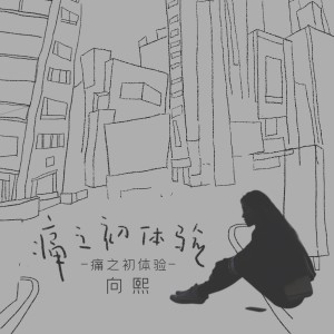 收聽向熙的痛之初體驗歌詞歌曲