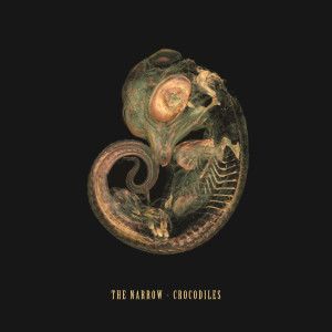 收聽The Narrow的Surrender歌詞歌曲