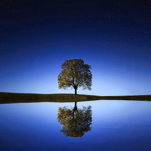 Dengarkan lagu Very Relaxing Meditation Music nyanyian Very Calming Music dengan lirik