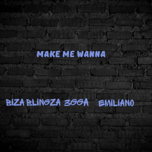 Biza Blingza的專輯Make Me Wanna
