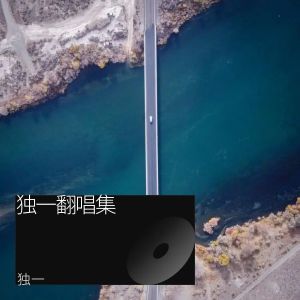 Listen to 何时了却这牵挂 (cover: 星月组合) (Live) song with lyrics from 独一