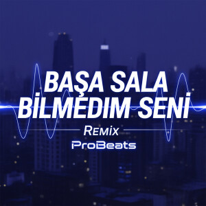 Album Başa Sala Bilmədim Səni (Remix) from ProBeats