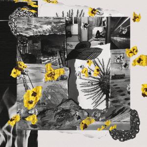 收聽3pillie的ACCEPT NO CHAINS歌詞歌曲