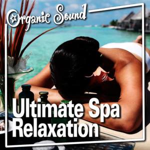 收聽Music for Spa Relaxation的Meditation Harmonies for Deep Sleep歌詞歌曲