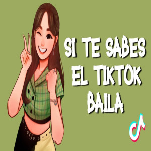 收聽Dj viral tiktok的Si te sabes el TikTok baila歌詞歌曲