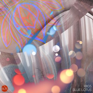 Listen to Birthday Song (Radio Edit) song with lyrics from Riigs