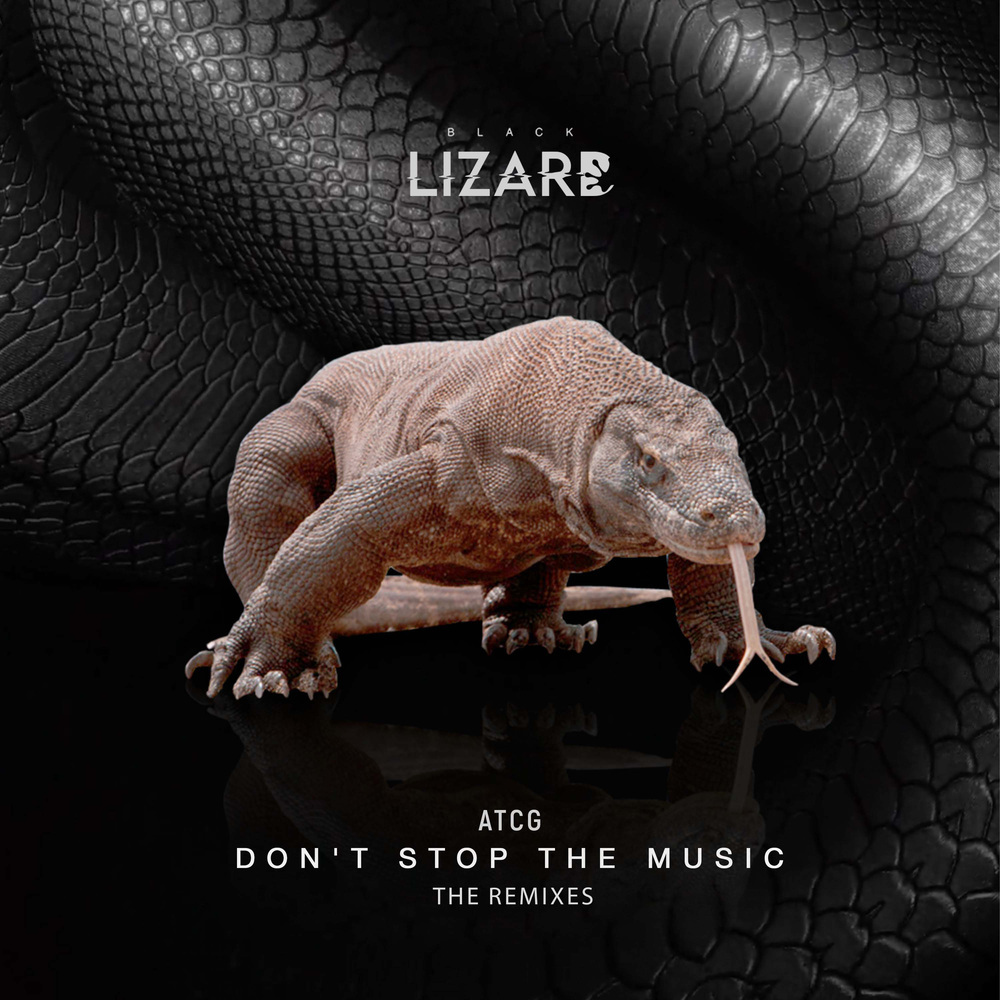 Don't Stop The Music (Remo Giugni Remix)