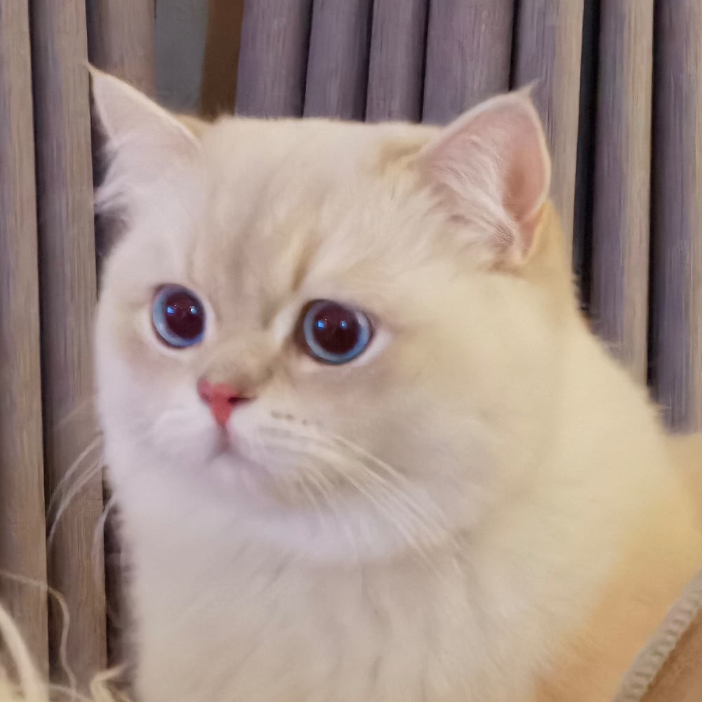 粒香