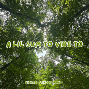 收聽Michael Prince的A Lil Sum to Vibe To歌詞歌曲