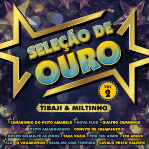 Dengarkan lagu Taça Vazia nyanyian Tibaji & Miltinho dengan lirik