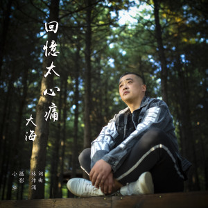 Listen to 回忆太心痛 (完整版) song with lyrics from 大海