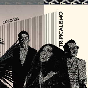 Listen to 19 Abril song with lyrics from Zuco 103