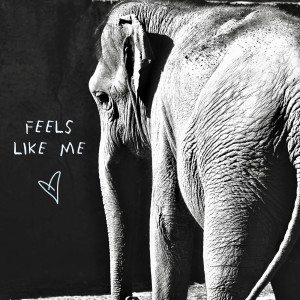 Listen to Feels Like Me song with lyrics from Gin Wigmore
