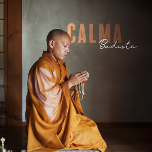 Album Calma Budista (Musicoterapia Positiva, Aclarar la Mente, Sanación Interior) from Academia de Música para Reducir el Estrés