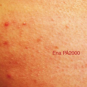 收聽Ena Pá 2000的Pdf (Explicit)歌詞歌曲