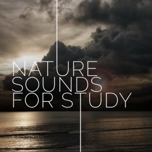 ดาวน์โหลดและฟังเพลง Bottom of the Garden พร้อมเนื้อเพลงจาก Outside Broadcast Recordings