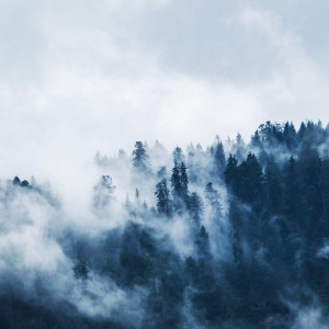 ดาวน์โหลดและฟังเพลง Through The Mist พร้อมเนื้อเพลงจาก Yano