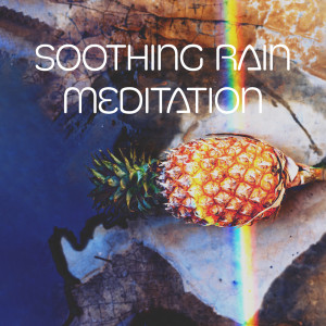 ดาวน์โหลดและฟังเพลง White Rain Noise พร้อมเนื้อเพลงจาก Raindrops Healing Music Universe