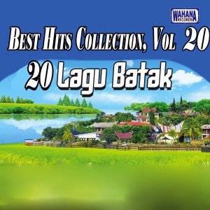 Album Best Hits Collection, Vol. 20 from Various