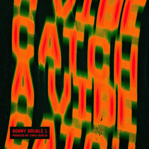 收听Sonny Double 1的Catch a Vibe歌词歌曲