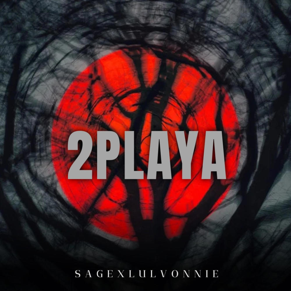 2 PLAYA (Explicit)