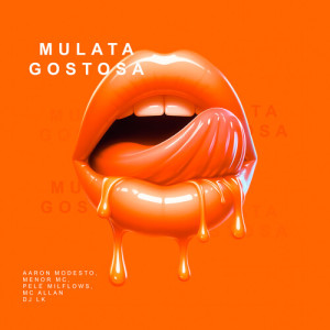 Dengarkan lagu Mulata Gostosa (Explicit) nyanyian DJ LK dengan lirik