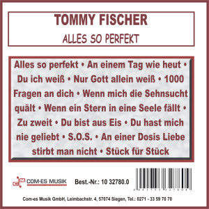 ดาวน์โหลดและฟังเพลง Du Hast Mich Nie Geliebt พร้อมเนื้อเพลงจาก Tommy Fischer