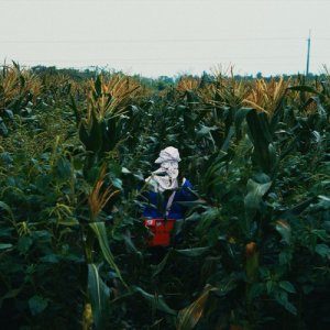 Dengarkan lagu We Dare to Forget (feat. Ilid Kaolo) nyanyian 柯智豪 dengan lirik