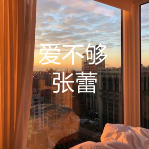 收聽張蕾的愛不夠 (伴奏)歌詞歌曲