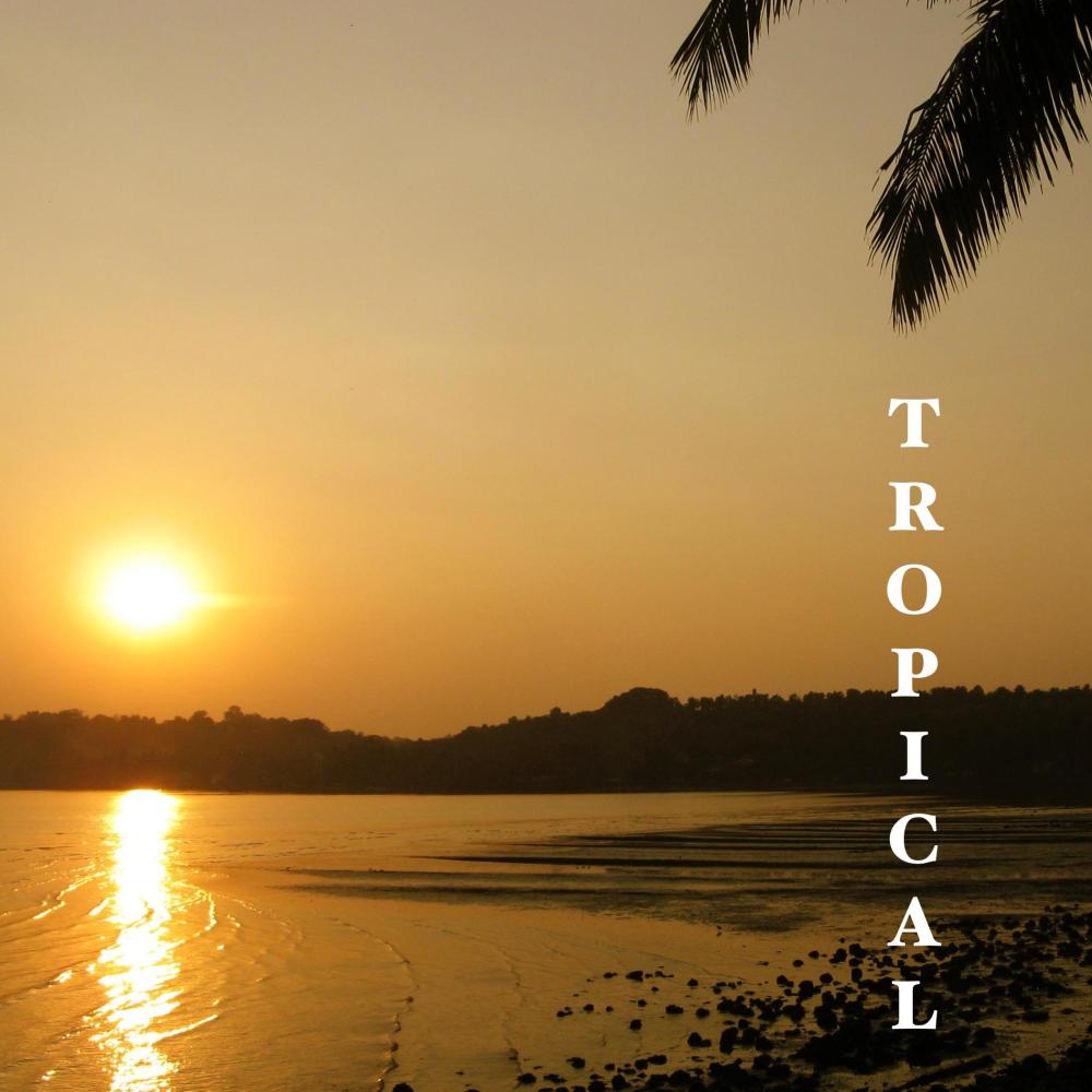 Tropical (feat. John Caudwell)