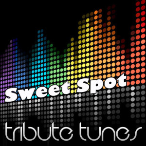 Sweet Spot (Instrumental Tribute to Flo Rida feat. Jennifer Lopez)