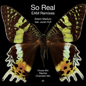 收听Edwin Maduro的So Real (House Mix)歌词歌曲