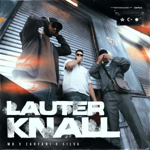 Silva的專輯LAUTER KNALL