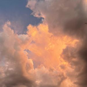 ดาวน์โหลดและฟังเพลง deadbeat (feat. Button Maker & FLOWER CLUB) พร้อมเนื้อเพลงจาก marshall4