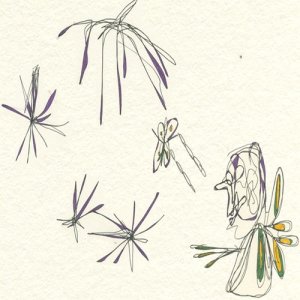 收聽Daniel Harris的The Landing Gear Hit Me in the Head Syrup Dropping Eye Probes歌詞歌曲