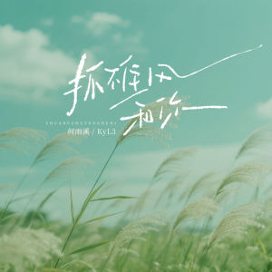 Album 抓不住风和你 from 何雨溪
