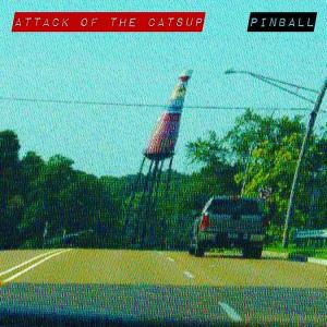 Dengarkan lagu Don't Kill the Shark! (feat. D.J.M.) nyanyian Pinball dengan lirik