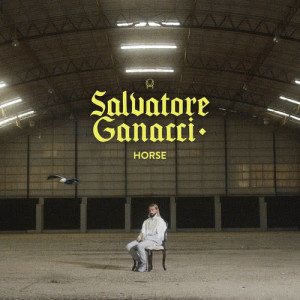 收聽Salvatore Ganacci的Horse歌詞歌曲