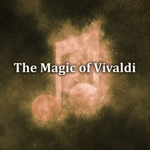收聽Klaus Thunemann的Vivaldi: Bassoon Concerto in G minor, RV 495 - 2. Largo歌詞歌曲