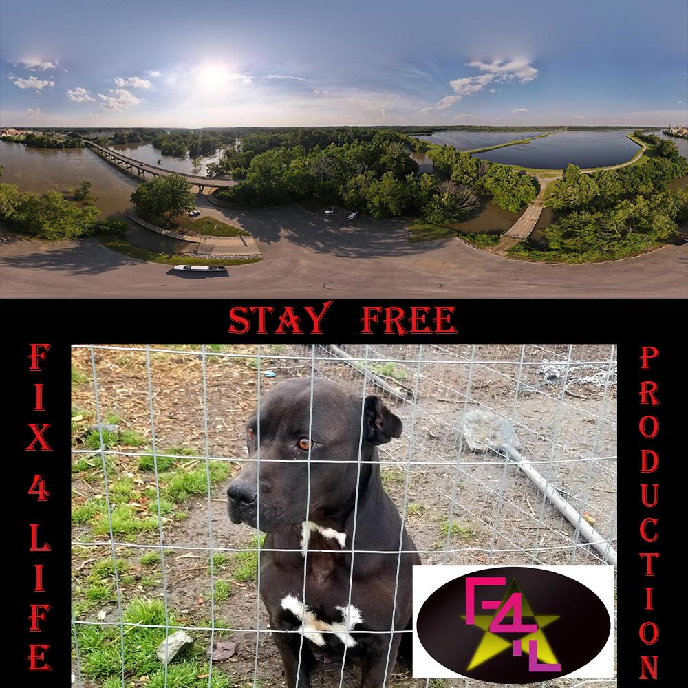 Stay Free (Explicit)