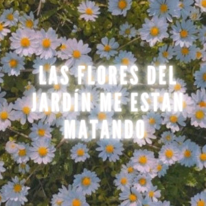 Moran的專輯Las Flores del Jardín Me Están Matando