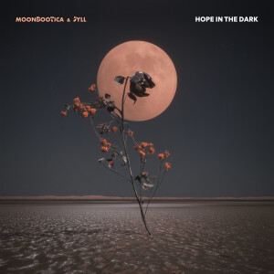 收聽Moonbootica的Hope In The Dark歌詞歌曲