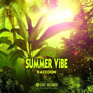 Listen to Summer Vibe (Original Edit) song with lyrics from Raccoon